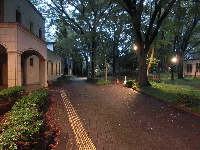 へえー！こんな所にレストラン